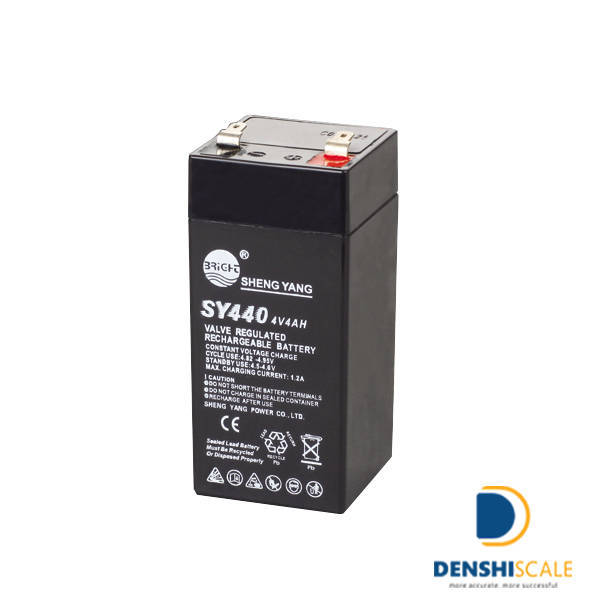 Pin sạc cân điện tử